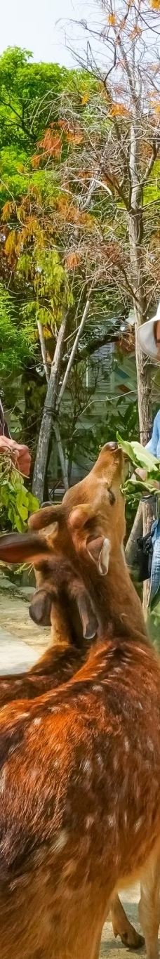 阿信巧克力农场-屏东