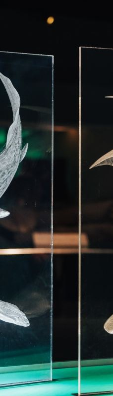 台湾自然科学博物馆-台中