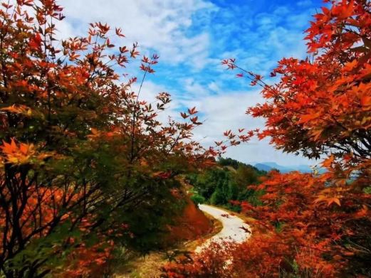 云峰山(长情谷)旅游景区
