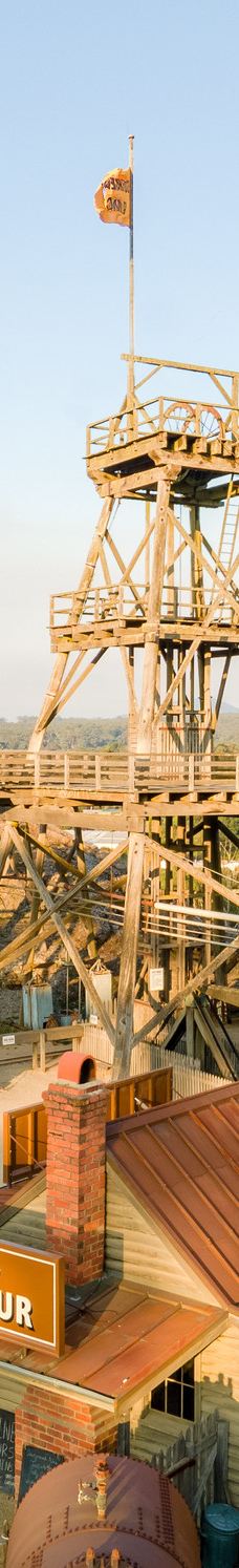 疏芬山-Golden Point