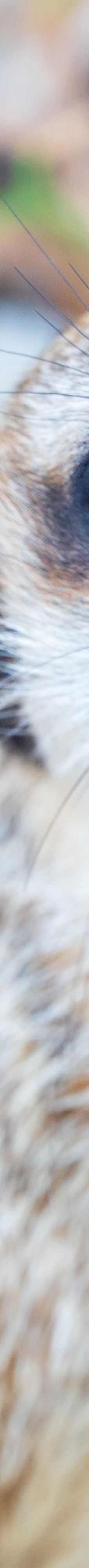 桐城动物园-桐城