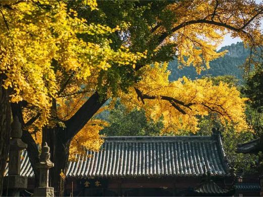 灵岩寺
