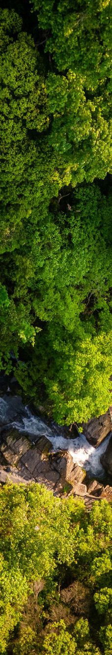 仙寓山景区-石台