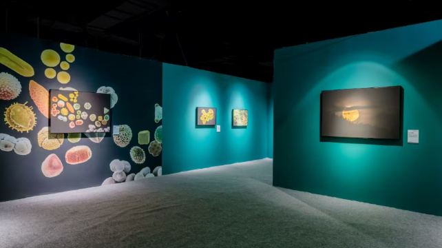 中国国家地理·探索极致发现科学艺术影像展