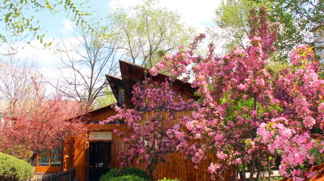 营口熊岳天沐温泉