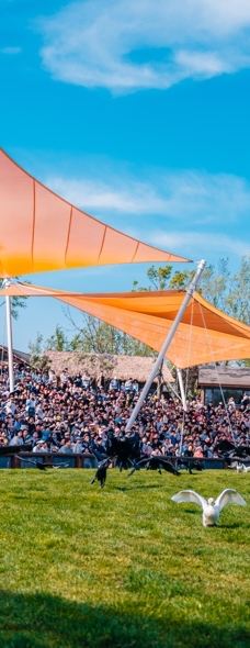 渔田七里海度假区-昌黎