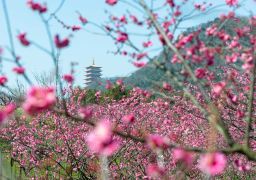 travel picture