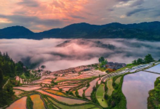 加榜梯田景点图片