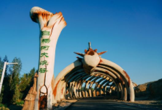 白杨河大峡谷景点图片