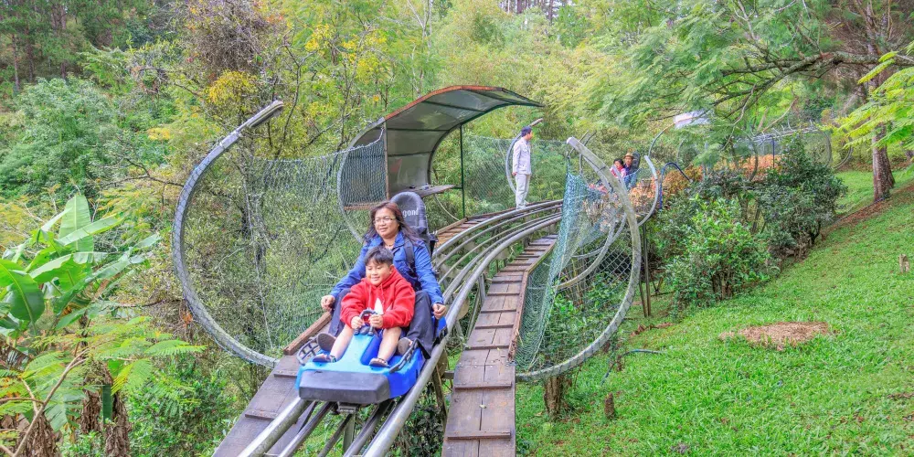 永安旅遊