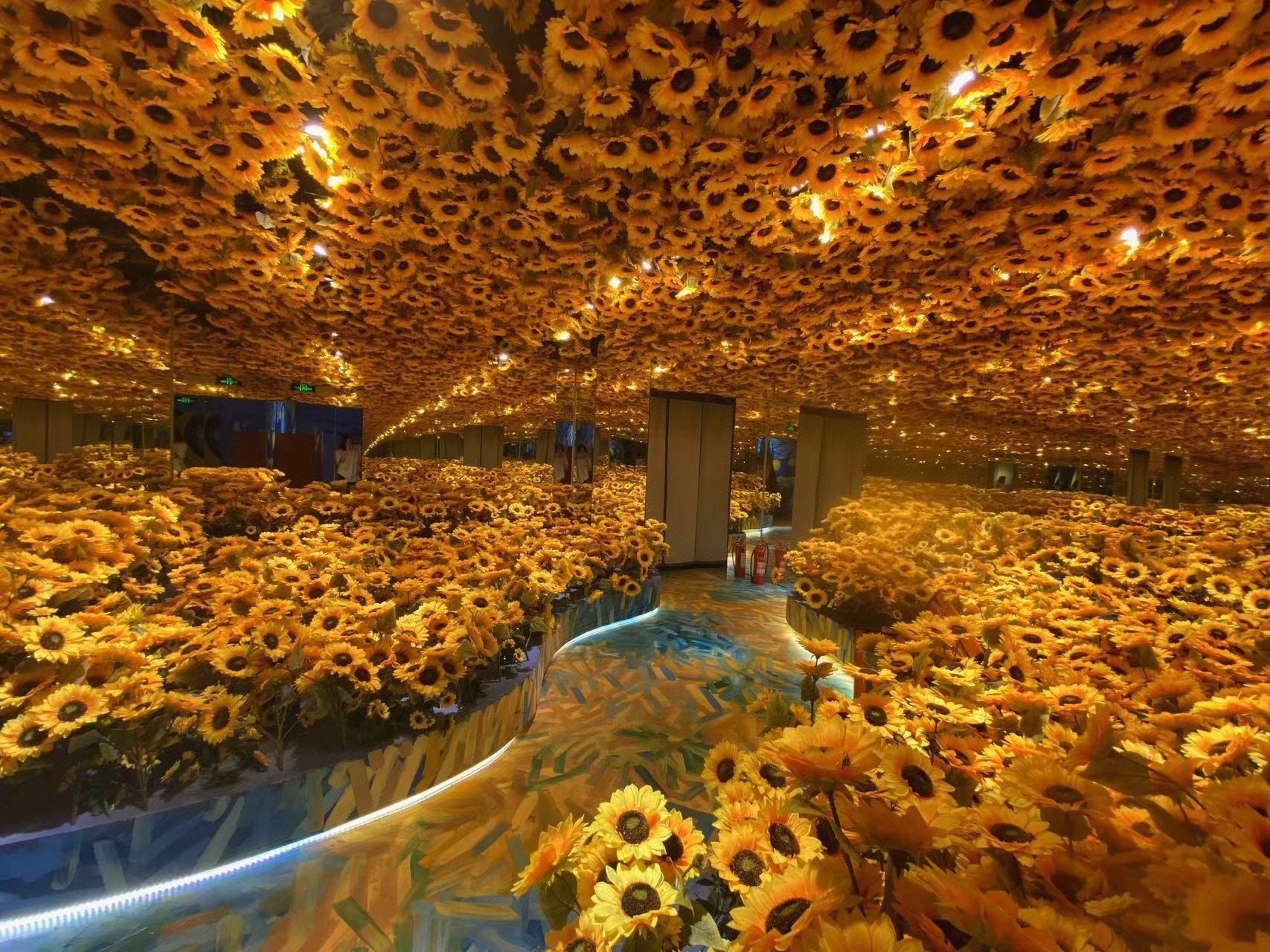 梵高星空艺术馆(贵阳旗舰店)