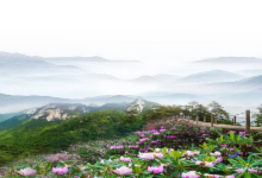 木王国家森林公园景点图片