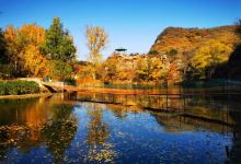 桃源仙谷自然风景区景点图片