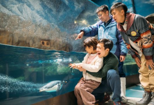 中国香港海洋公园一日游【不含门票，专车上门接送独立不拼车】【可多地出发，包车前往香港海洋公园。适合情侣游，爸妈游，亲子游，家庭游，亲友游等。】