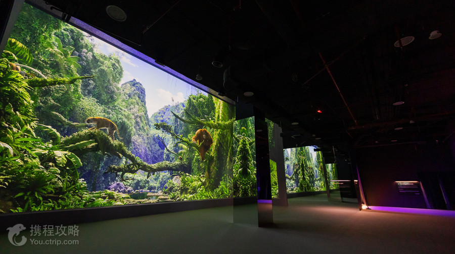 Immersify Kuala Lumpur