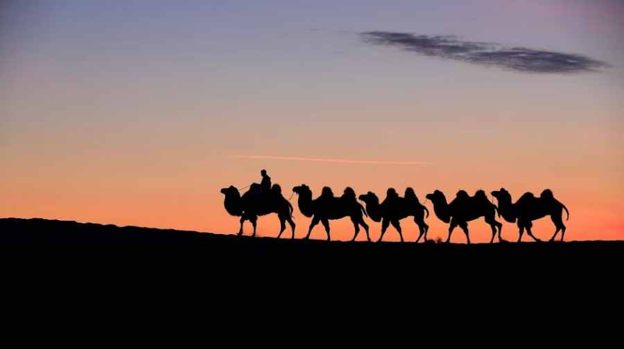 白沙山沙漠景区