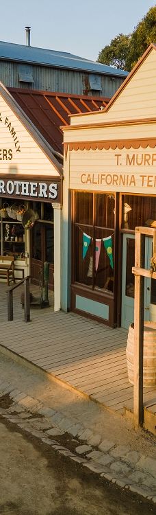 疏芬山-Golden Point