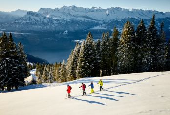 卢塞恩老城区+卢塞恩环城观光小火车+瑞吉山+天鹅广场【私家团包车游 I 中英文司导 I 行程可沟通调整】
