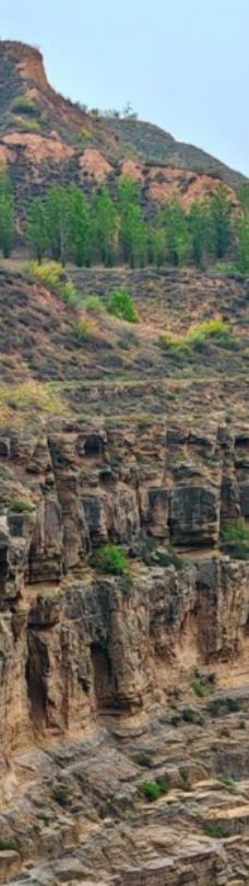 杨家川小峡谷-清水河