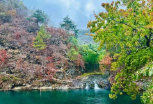 阳明山国家森林公园景点图片