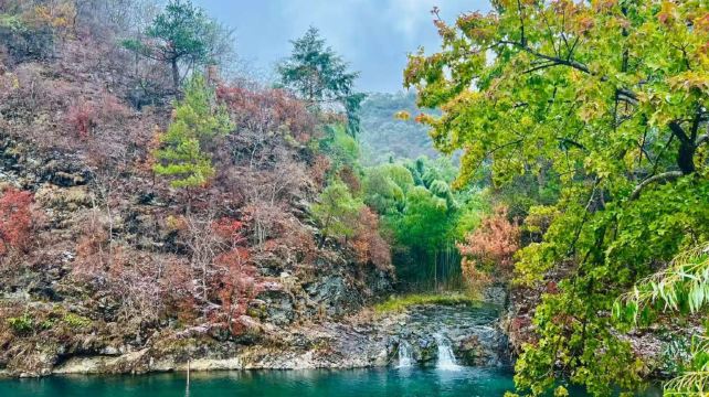 阳明山国家森林公园