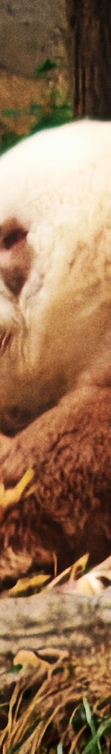 秦岭四宝科学公园-周至