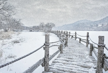 南怡岛景点图片