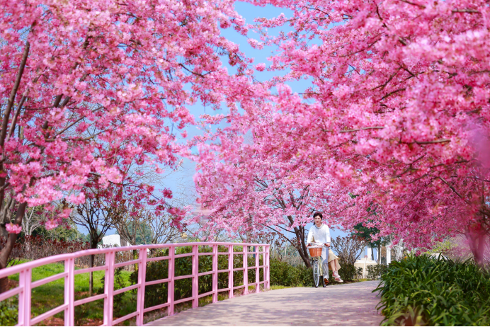漫花庄园