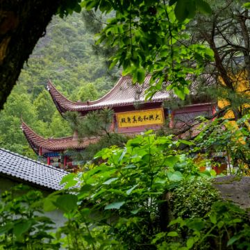 九华山风景区+九华山大愿文化园+九子岩景区+九华天池4日3晚私家团