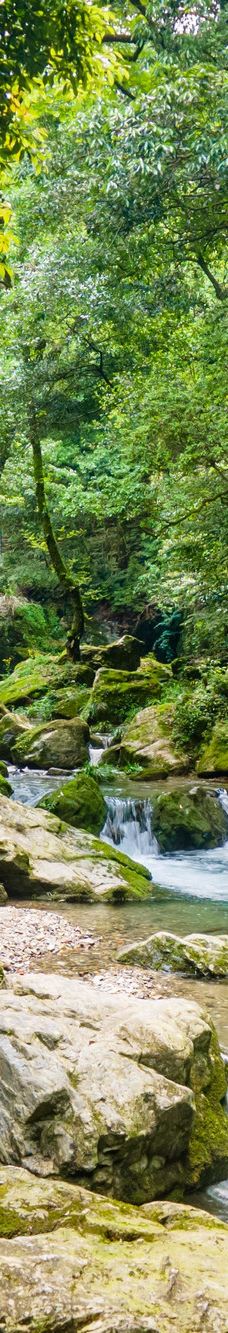 仙寓山景区-石台