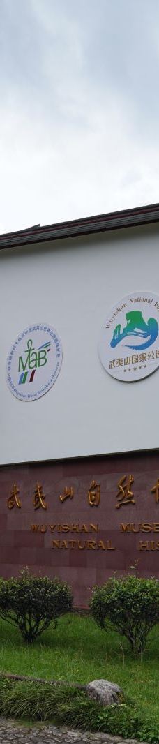 武夷山国家公园1号风景道-武夷山