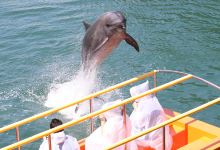 下田海中水族馆景点图片