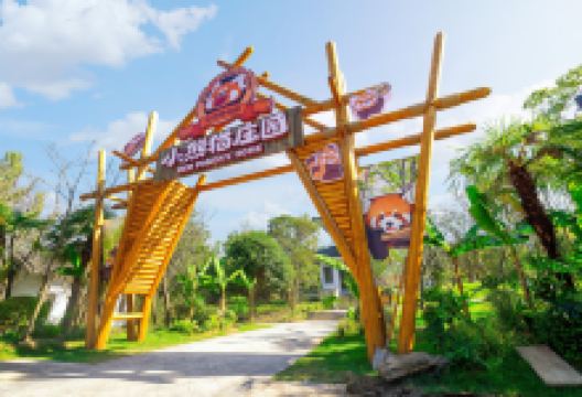 茅山森林世界景点图片