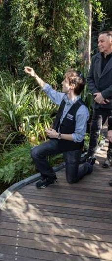 墨尔本博物馆-卡尔敦