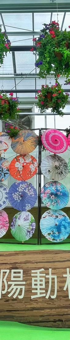 兰阳动植物王国-宜兰