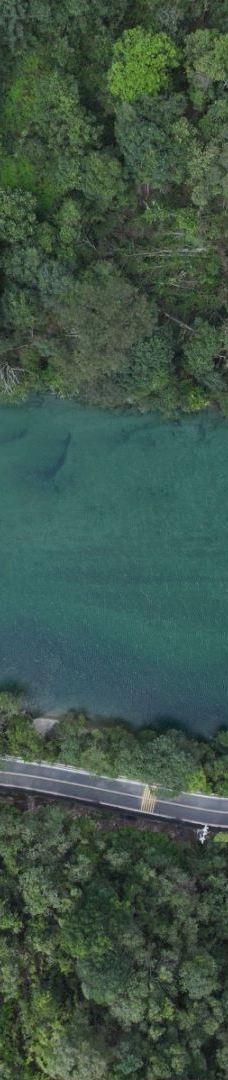 武夷山国家公园1号风景道-武夷山