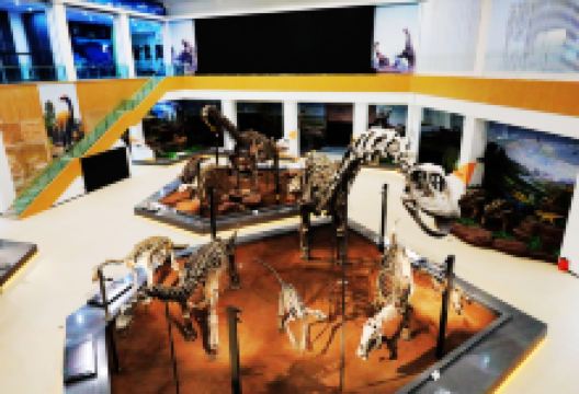 刘家峡恐龙国家地质公园景点图片