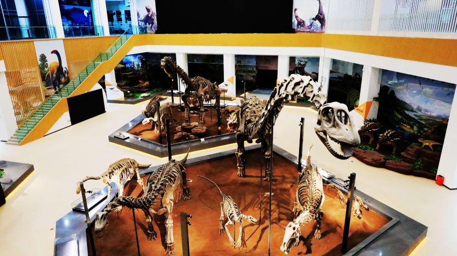 刘家峡恐龙国家地质公园