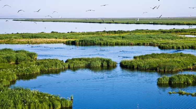 5-day 4-night · Private Tour · China + Inner Mongolia + Chifeng + Wulanbutong Steppe Tourist Area + Dali Lake + Yulong Sand Lake