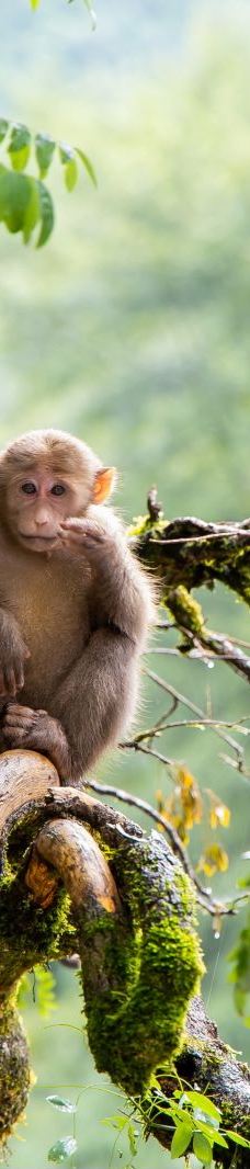 武夷山国家公园1号风景道-武夷山