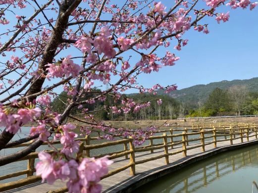 云峰山生态旅游区
