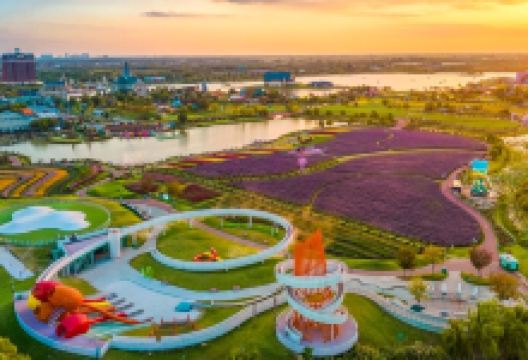 荷兰花海景点图片