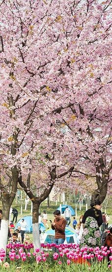 宁波植物园-宁波