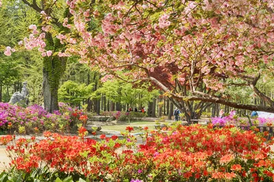 Nami Island