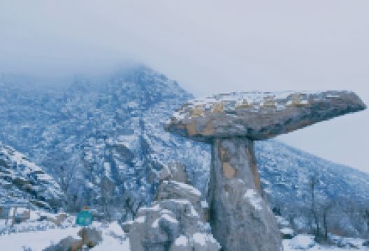 贺兰山岩画景点图片