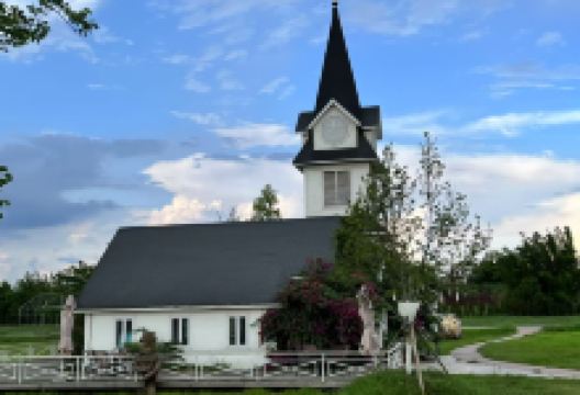 蔚然花海景点图片