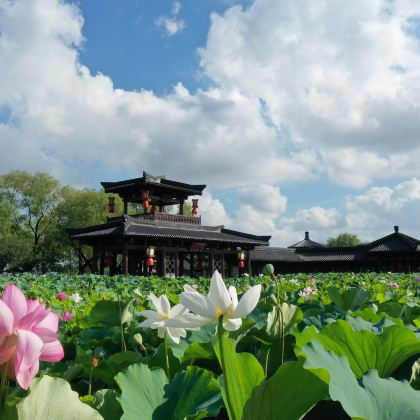 上海+南京+无锡+苏州+嘉兴+绍兴+杭州+上海迪士尼度假区6日5晚跟团游