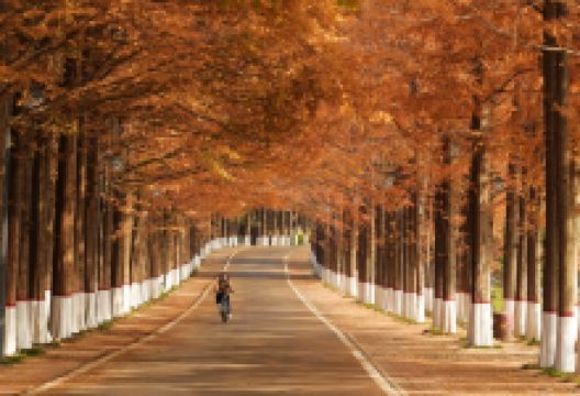 铜山湖森林公园景点图片