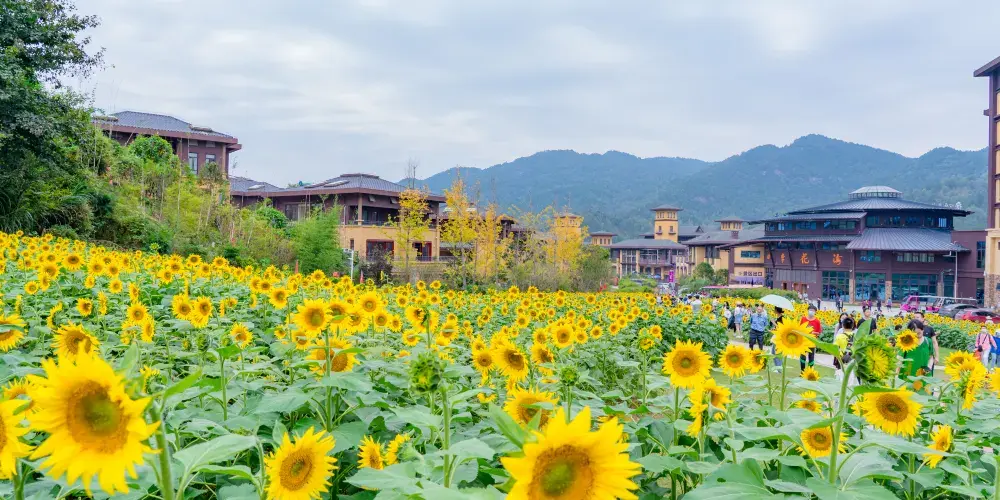 永安旅遊