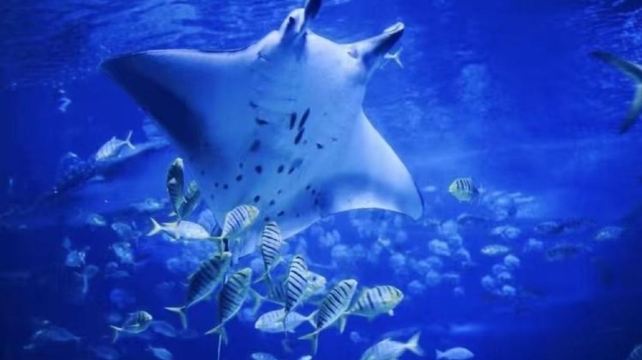 郊野公园秦皇岛园海洋馆